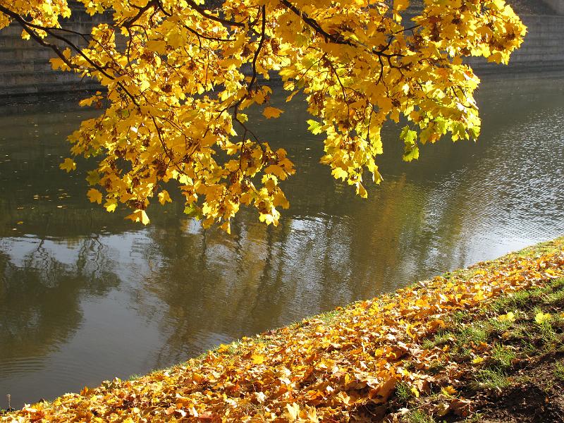 2009-10-30, Zwinger (3).JPG